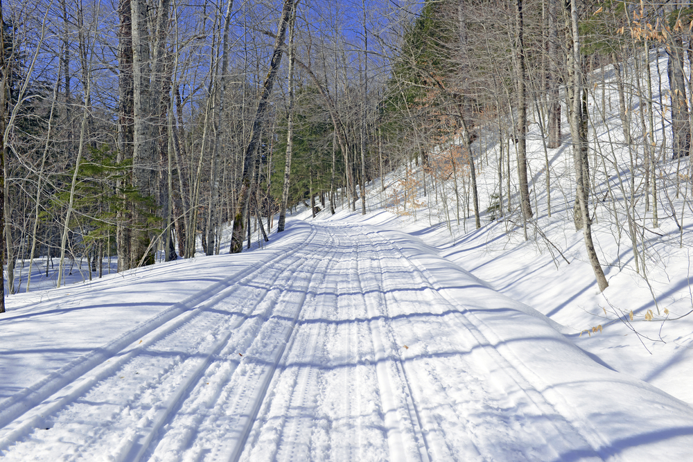 Snow-covered road through the wood near Old Forge, New York.