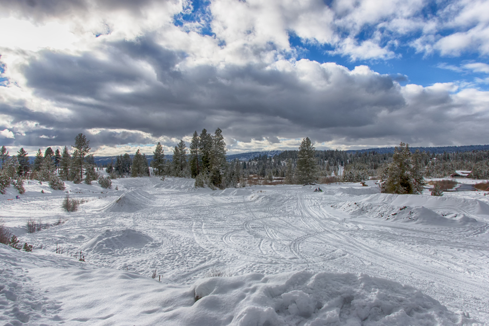Playful vehicle tracks in the snow near a forested area in Priest Lake, Idaho.