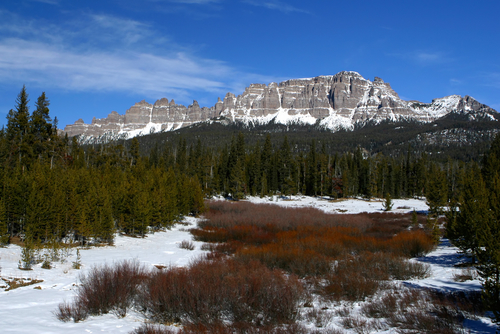 Landscape of snow-covered mountains and forest in Togwotee, Wyoming.