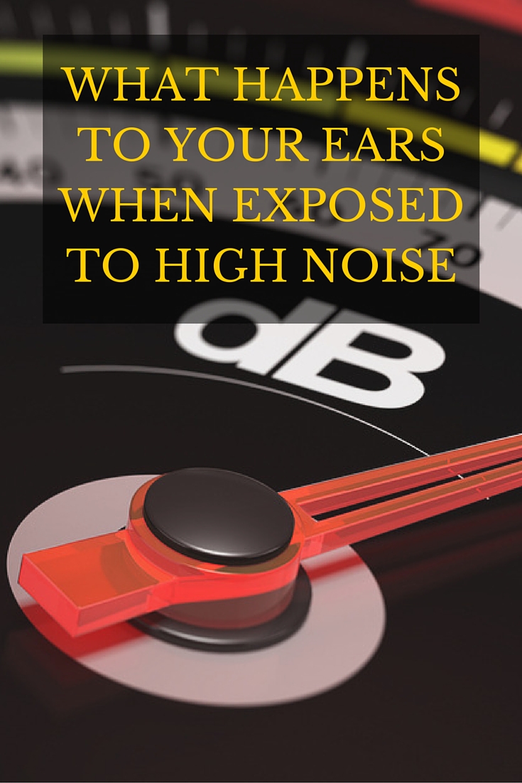 WHAT HAPPENS TO YOUR EARS WHEN EXPOSED TO HIGH NOISE (1)